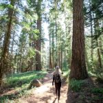 漫蛙防丢失网站,漫蛙网页版防走光 83wv837y