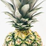 日韩精品中文字幕无码专区 8b983db71s