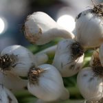 欧美高清欧美AV片 8p91xr