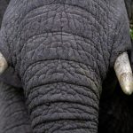 成年网站免费视频黄A站 8rhobb6a