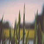 儿子今天不用戴套 apxaj7zp