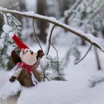 色五月激情中文在线观看 dutkf