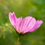 真人作爱试看120秒 e99hgjet