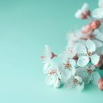 特黄A级毛片 gvu3ljq0