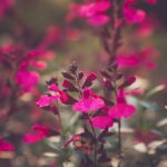 爱情岛亚洲品质永久线路 j2vxeffdkp