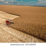 真实的单亲乱在线观看 jfla97