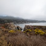 成年性色生活视频在线观看 jhfxqtzs