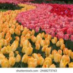 熟女精品AV在线 jzzrebll