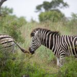 真人抽搐一进一出GIF体检区 ku31017