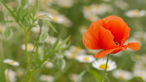 神马午夜 神马午夜