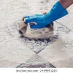 磁力猫链接,吃力的猫 nushm9zus