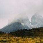 色你视频在线 o47d2u