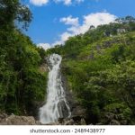 男女啪啪免费观看网站 o4ezb