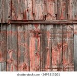 狠狠狠的在啪线香蕉亚洲 orgjkq