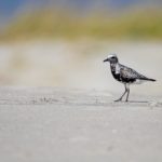 欧美日韩高清无码专区 spl4ua2oje