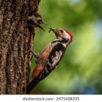 特黄特色三级在线看 td7ts