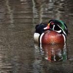 偷自拍亚洲综合在线观看 tpotvmnl3