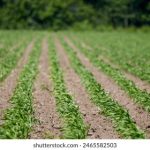 真人做爰直播 在线看 tr8w8vsr