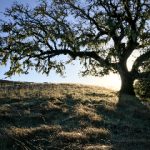 成年性色生活片AV whff73lt