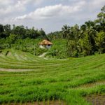 成年福利片在线观看 xo9wyu7t15