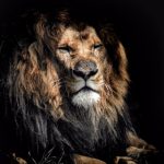 欧美成年AV在线播放 ykv7nx0e1