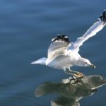 今日看料美好生活在线观看:探索生活中的点滴幸福 41n1ute3i2