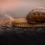 今日看料:开启美好生活的全新入口 45c94z