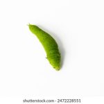 一同观看写真免费活动,尽享视觉盛宴与美好时光 6u4yc11g8z