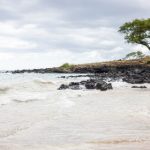 Tbox导航官网:探索智能导航系统的最佳选择 uy0une8udp